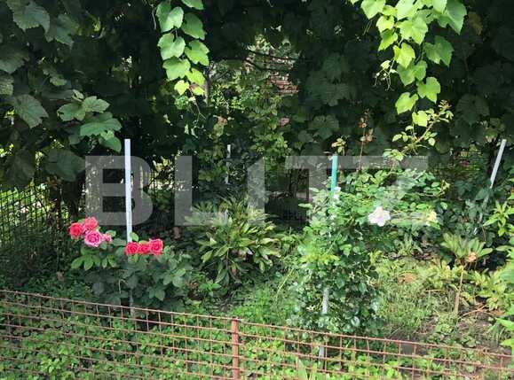 Casa de vânzare 4 camere Blascovici - 70689CV | BLITZ Timișoara | Poza9