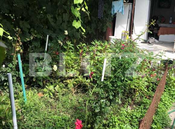 Casa de vânzare 4 camere Blascovici - 70689CV | BLITZ Timișoara | Poza10