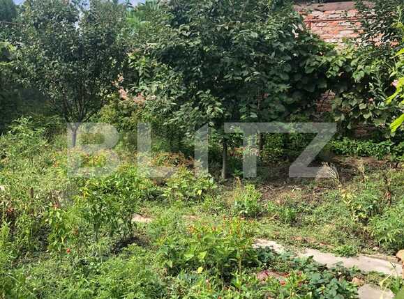 Casa de vânzare 4 camere Blascovici - 70689CV | BLITZ Timișoara | Poza11