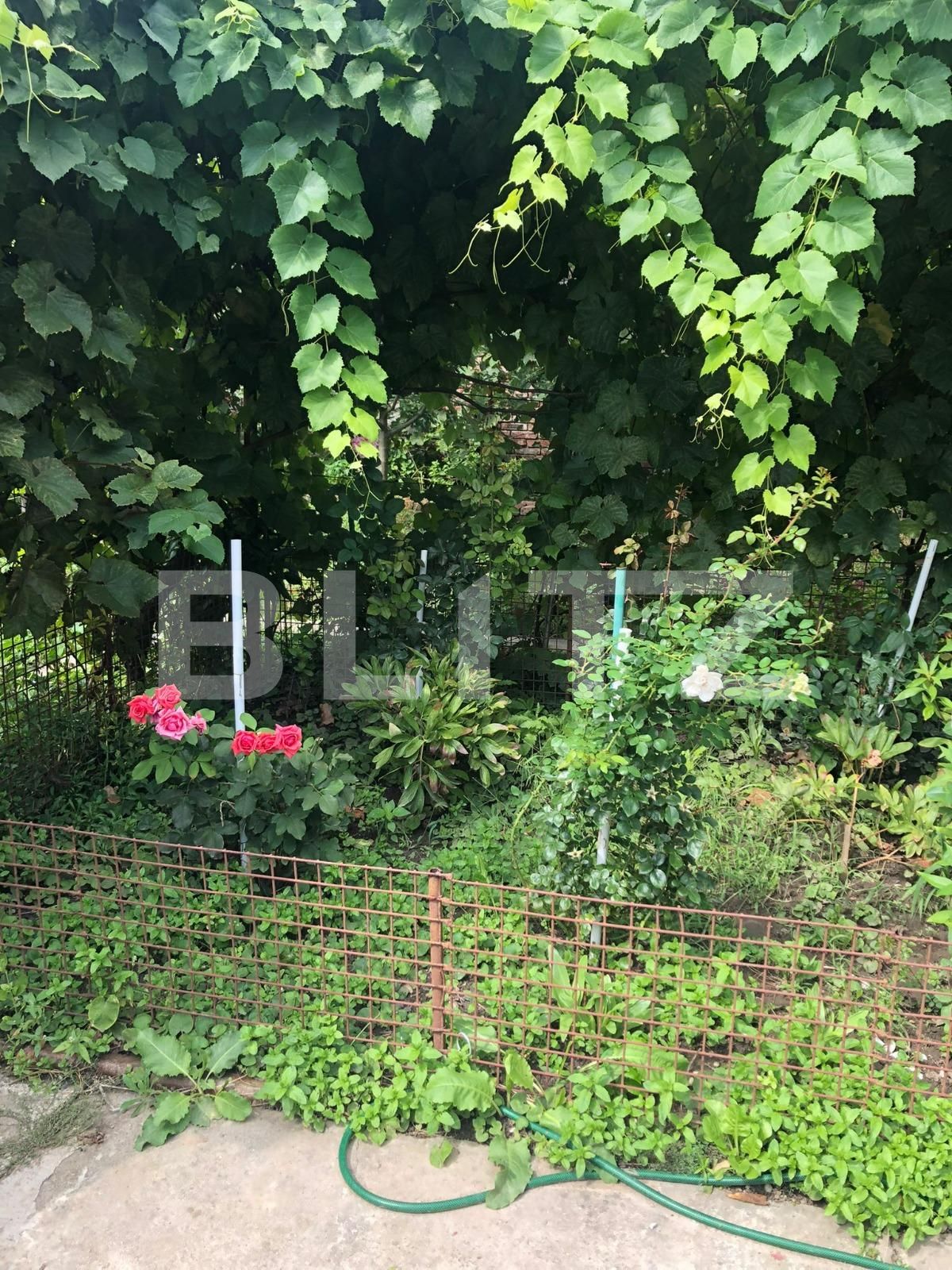 Casa de vânzare 4 camere Blascovici - 70689CV | BLITZ Timișoara | Poza9