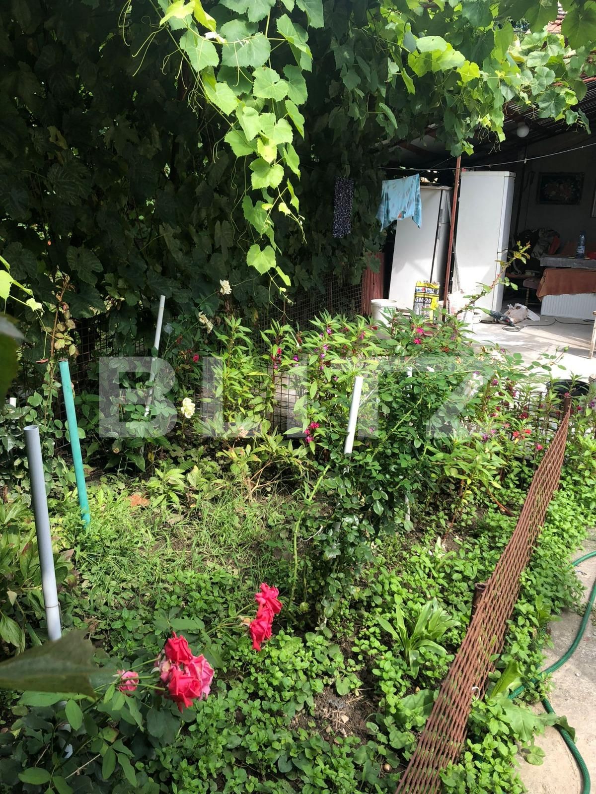 Casa de vânzare 4 camere Blascovici - 70689CV | BLITZ Timișoara | Poza10