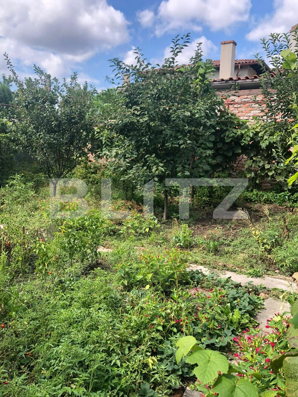 Casa de vânzare 4 camere Blascovici - 70689CV | BLITZ Timișoara | Poza11