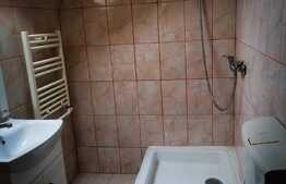 Apartament la mansarda, balcon, pod amenajat, zona Dambovita