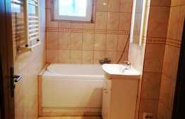 Apartament la mansarda, balcon, pod amenajat, zona Dambovita