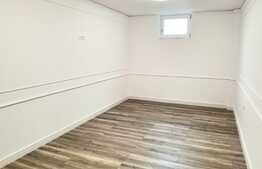 Vad comercial! Oportunitate investitie! 110 mp utili, 4 locuri parcare, zona Dumbravita