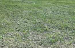 Teren pentru constructie, 680 mp, zona Buziasului! 