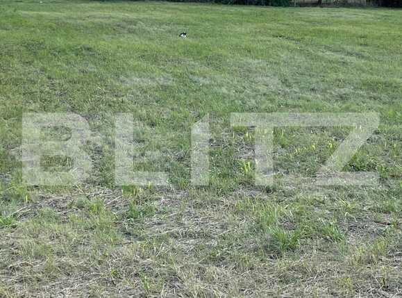 Teren de vânzare Buziasului - 70776TV | BLITZ Timișoara | Poza1