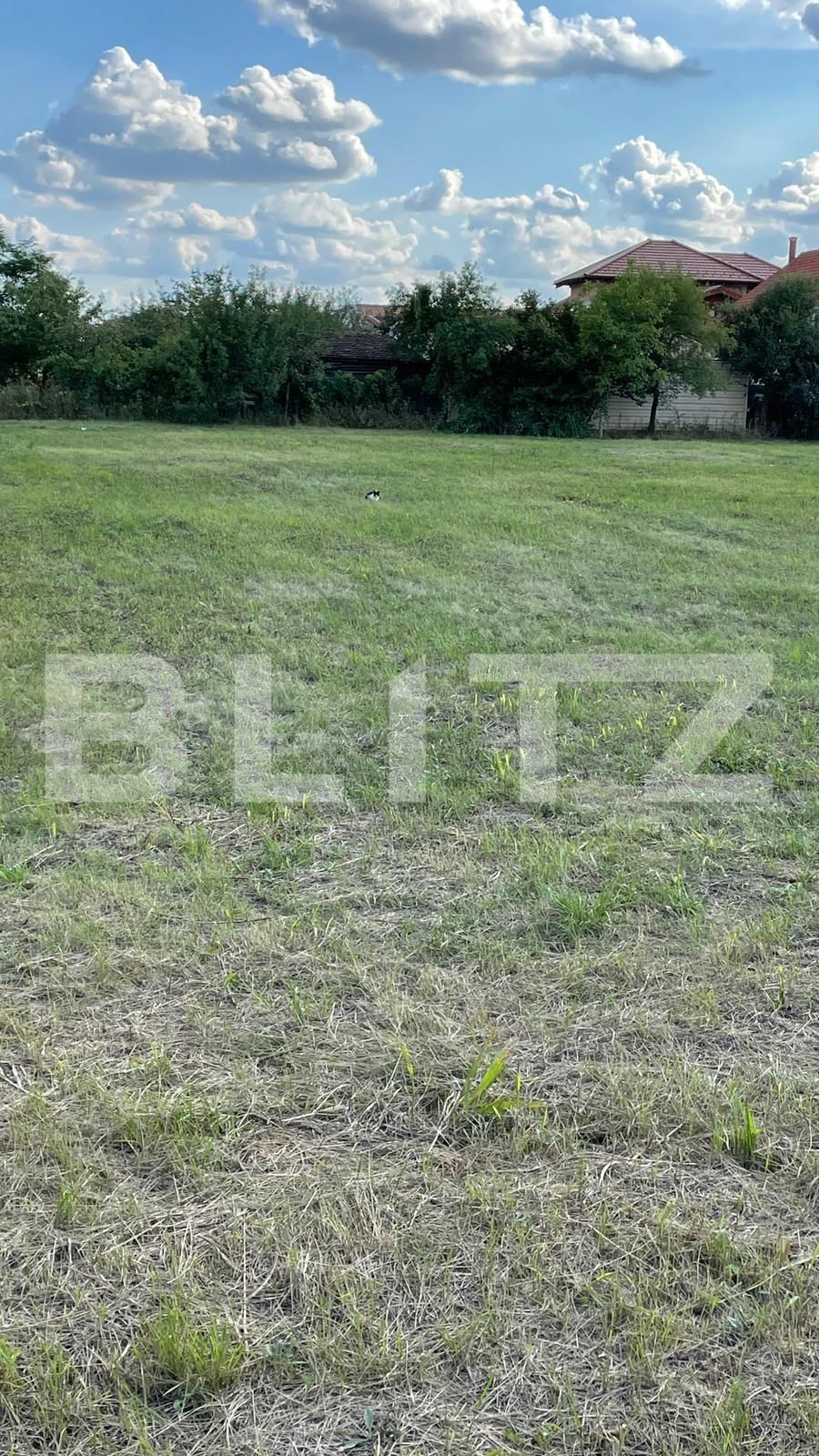 Teren de vânzare Buziasului - 70776TV | BLITZ Timișoara | Poza1