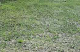 Teren pentru constructie, 708 mp, zona Buziasului