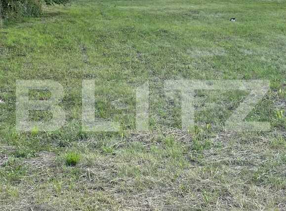 Teren de vânzare Buziasului - 70778TV | BLITZ Timișoara | Poza1