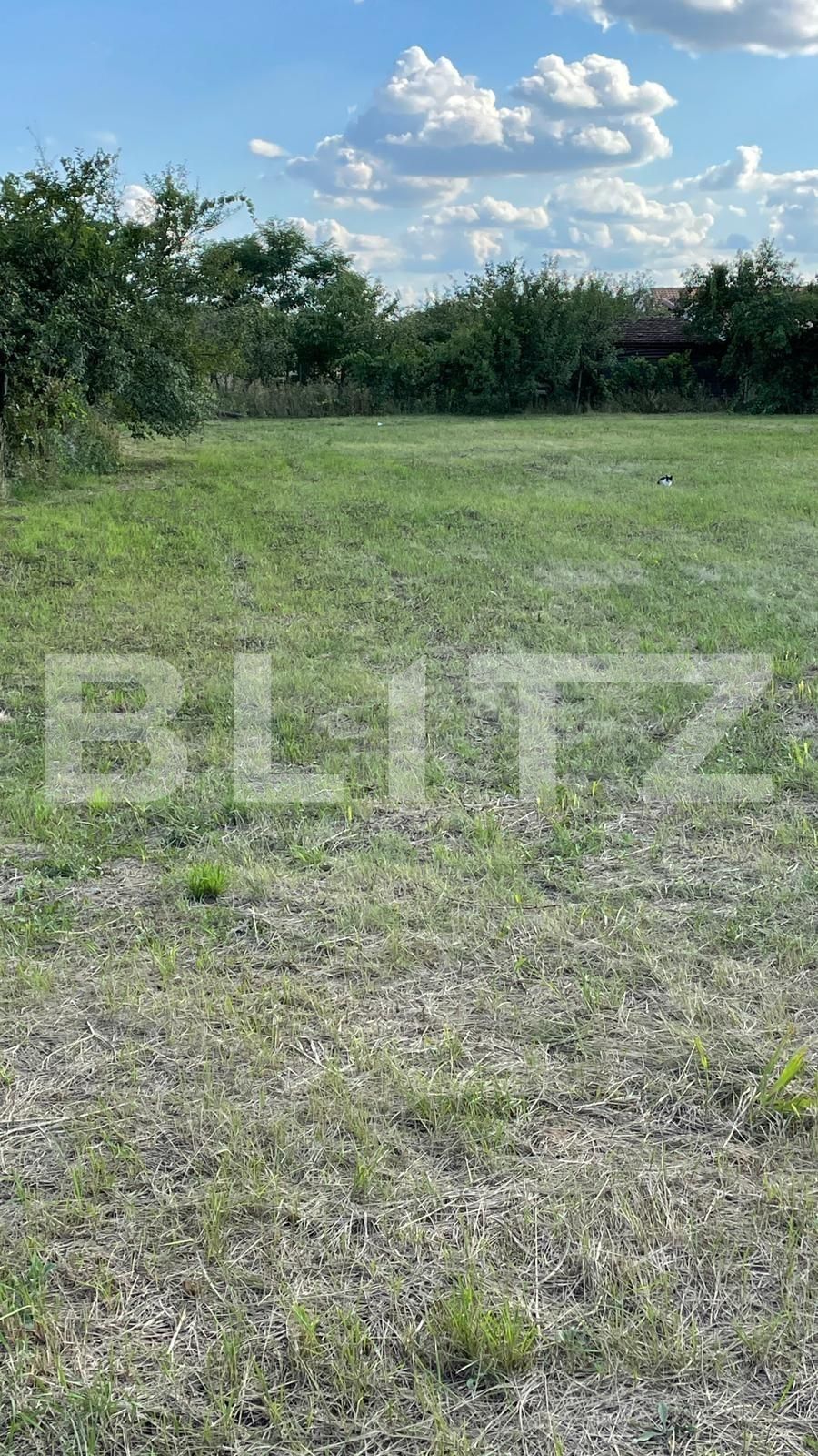 Teren de vânzare Buziasului - 70778TV | BLITZ Timișoara | Poza1