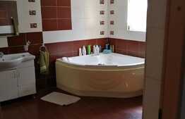 Casa mobilata de 175 mp utili plus un imobil 75 mp utili, 1700 mp teren, zona Remetea Mare