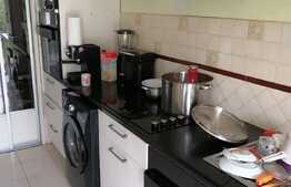 Casa mobilata de 175 mp utili plus un imobil 75 mp utili, 1700 mp teren, zona Remetea Mare