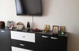 Casa mobilata de 175 mp utili plus un imobil 75 mp utili, 1700 mp teren, zona Remetea Mare