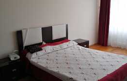 Casa mobilata de 175 mp utili plus un imobil 75 mp utili, 1700 mp teren, zona Remetea Mare