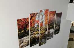 Casa mobilata de 175 mp utili plus un imobil 75 mp utili, 1700 mp teren, zona Remetea Mare