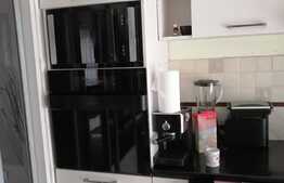 Casa mobilata de 175 mp utili plus un imobil 75 mp utili, 1700 mp teren, zona Remetea Mare