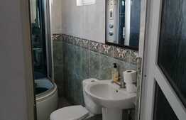 Casa mobilata de 175 mp utili plus un imobil 75 mp utili, 1700 mp teren, zona Remetea Mare