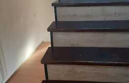 1/2 Duplex de 220 mp utili, teren de 140 mp, Lipovei!