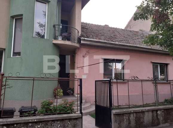 Casa de vânzare 9 camere Olimpia-Stadion - 70787CV | BLITZ Timișoara | Poza1