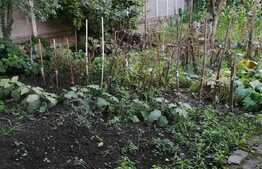 Casă de 30 mp utili + studio 20 mp, curte comună, zona Balcescu