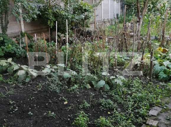 Casa de vânzare 1 camera Balcescu - 70790CV | BLITZ Timișoara | Poza7