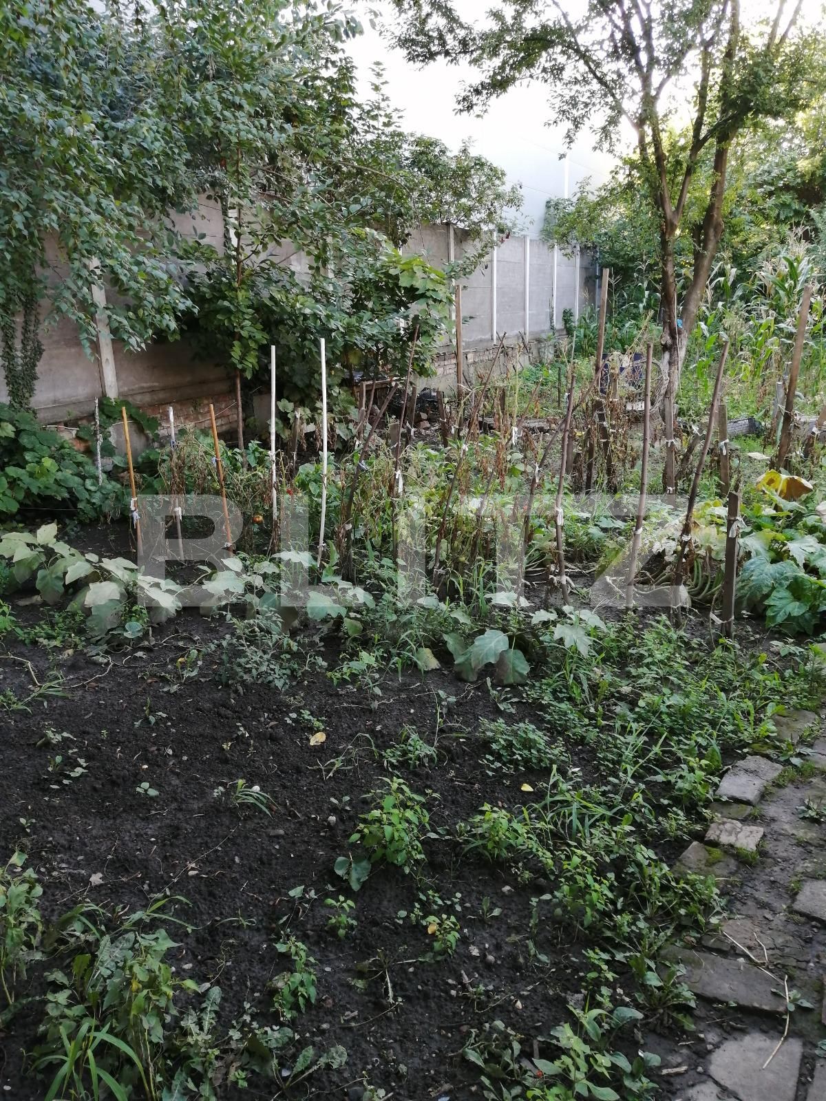 Casa de vânzare 1 camera Balcescu - 70790CV | BLITZ Timișoara | Poza7