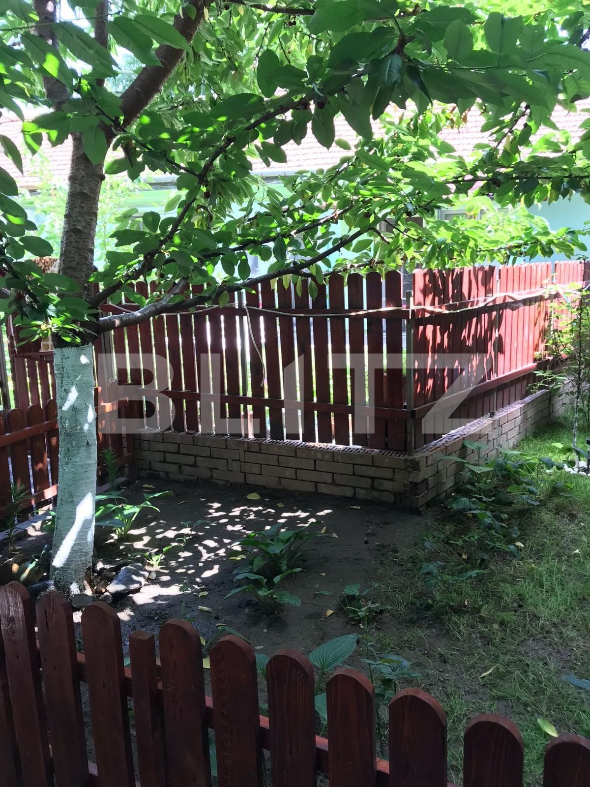 Casa de vânzare 1 camera Balcescu - 70790CV | BLITZ Timișoara | Poza2