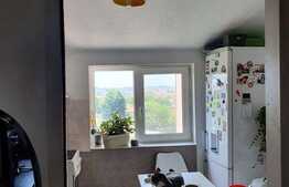 Apartament 3 camere, 48,5 mp, zona Buziasului 