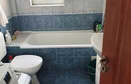 Apartament 3 camere, 48,5 mp, zona Buziasului 