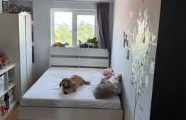 Apartament 3 camere, 48,5 mp, zona Buziasului 