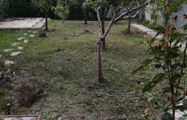 Casă individuală în Dumbrăviţa P+M, 480 mp teren, 320 mp utili