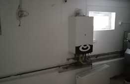 Casă individuală în Dumbrăviţa P+M, 480 mp teren, 320 mp utili