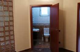 Casă individuală în Dumbrăviţa P+M, 480 mp teren, 320 mp utili