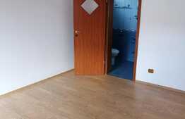 Casă individuală în Dumbrăviţa P+M, 480 mp teren, 320 mp utili