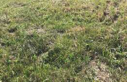 Teren intravilan de vanzare, 735 mp, front 18 ml, Dumbravita!