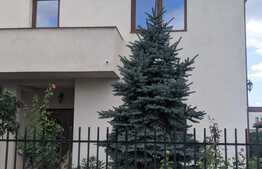 Duplex de vanzare, 150 mp utili, 342 mp teren, Dumbravita