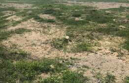 Teren intravilan, 620 mp, Mosnita Noua!