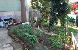 Garsoniera cu o suprafata de 35 mp, zona Balcescu, curte comuna