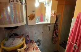 Garsoniera cu o suprafata de 35 mp, zona Balcescu, curte comuna