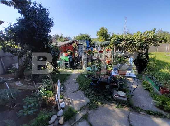 Garsonieră de vânzare  - 71168AV | BLITZ Timișoara | Poza8