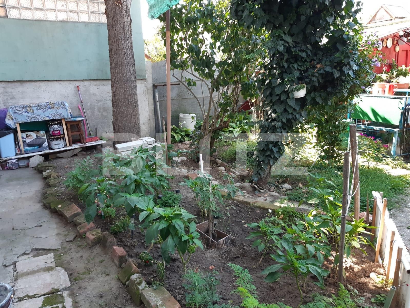 Garsonieră de vânzare  - 71168AV | BLITZ Timișoara | Poza9