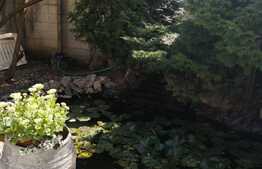 Ocazie!- Casă pe 3 nivele zona Girocului (Muzicescu) teren 580 mp , suprafaţă utilă 230 mp