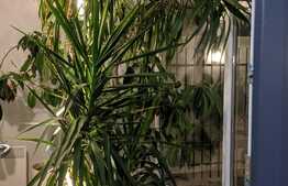 Casa cu finisaje premium, 300 mp utili, teren 870 mp, Zona Crisan