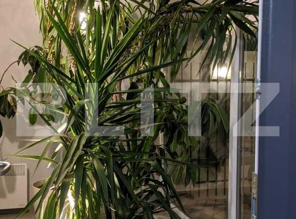 Casa de vânzare 7 camere Crisan - 71225CV | BLITZ Timișoara | Poza16