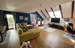 Penthouse de lux, 2 nivele ,4 camere, living generos si curte, Ronat