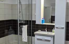 Vila de vanzare pentru investitie sau activitate proprie, Zona Lunei