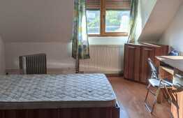 Vila de vanzare pentru investitie sau activitate proprie, Zona Lunei