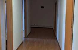 Vila de vanzare pentru investitie sau activitate proprie, Zona Lunei