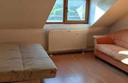 Vila de vanzare pentru investitie sau activitate proprie, Zona Lunei